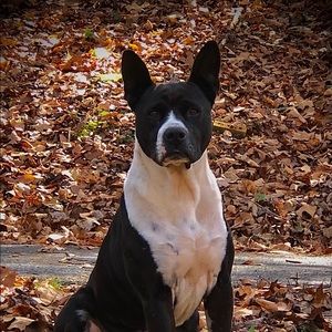 Meet your Posher, Wesley